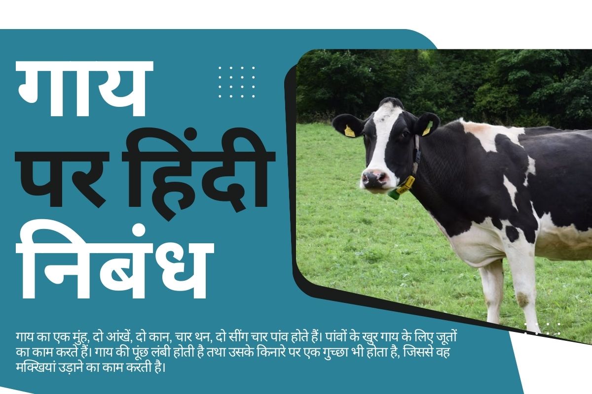 Cow Essay in Hindi