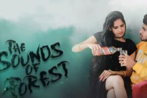 The Sounds of Forest