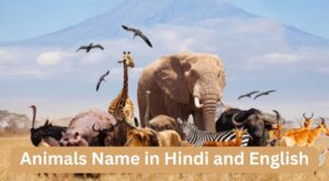 Animals Name in Hindi and English
