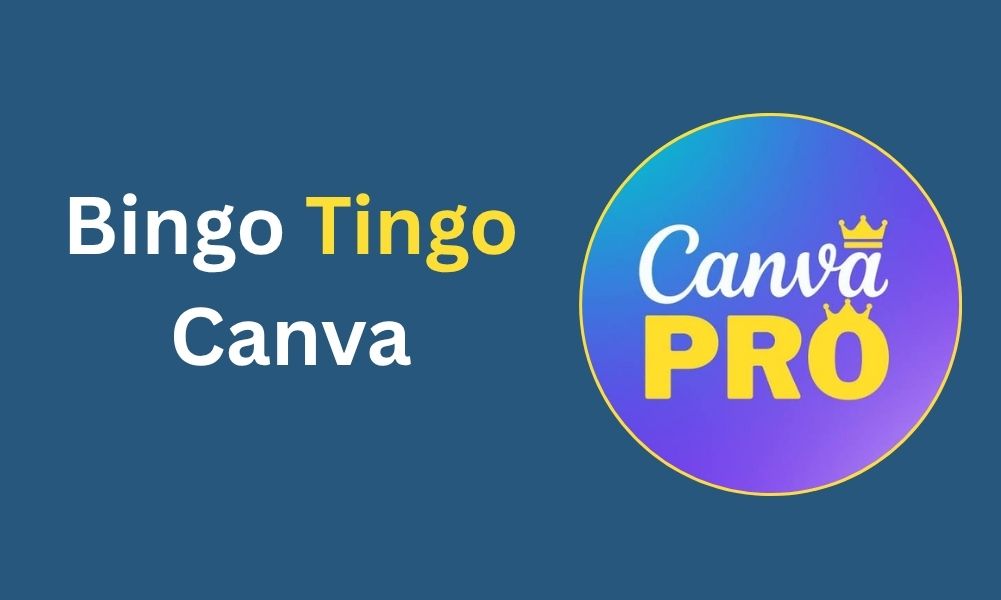 Bingo Tingo Canva