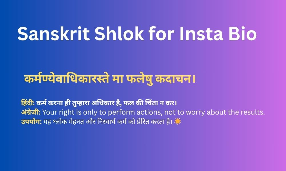 Sanskrit Shlok for Insta Bio